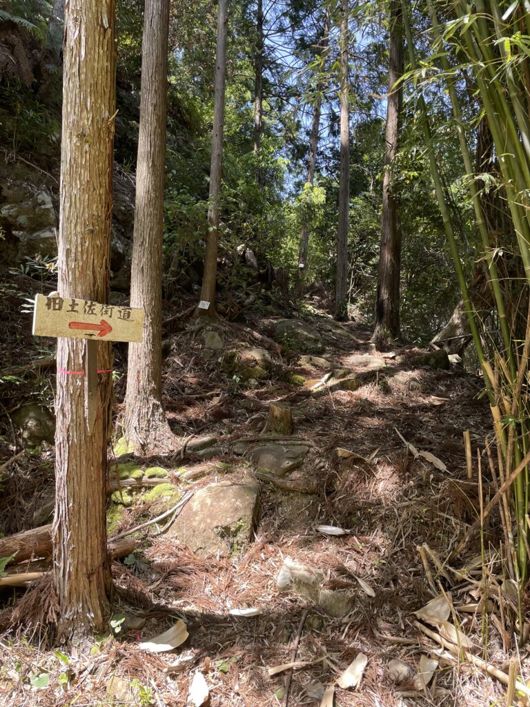 登りが始まった