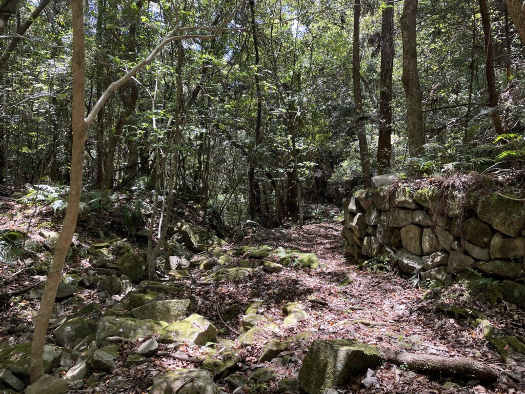 石垣が出てきた