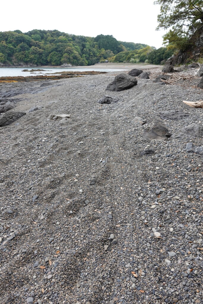 ざくざくの砂利をいく