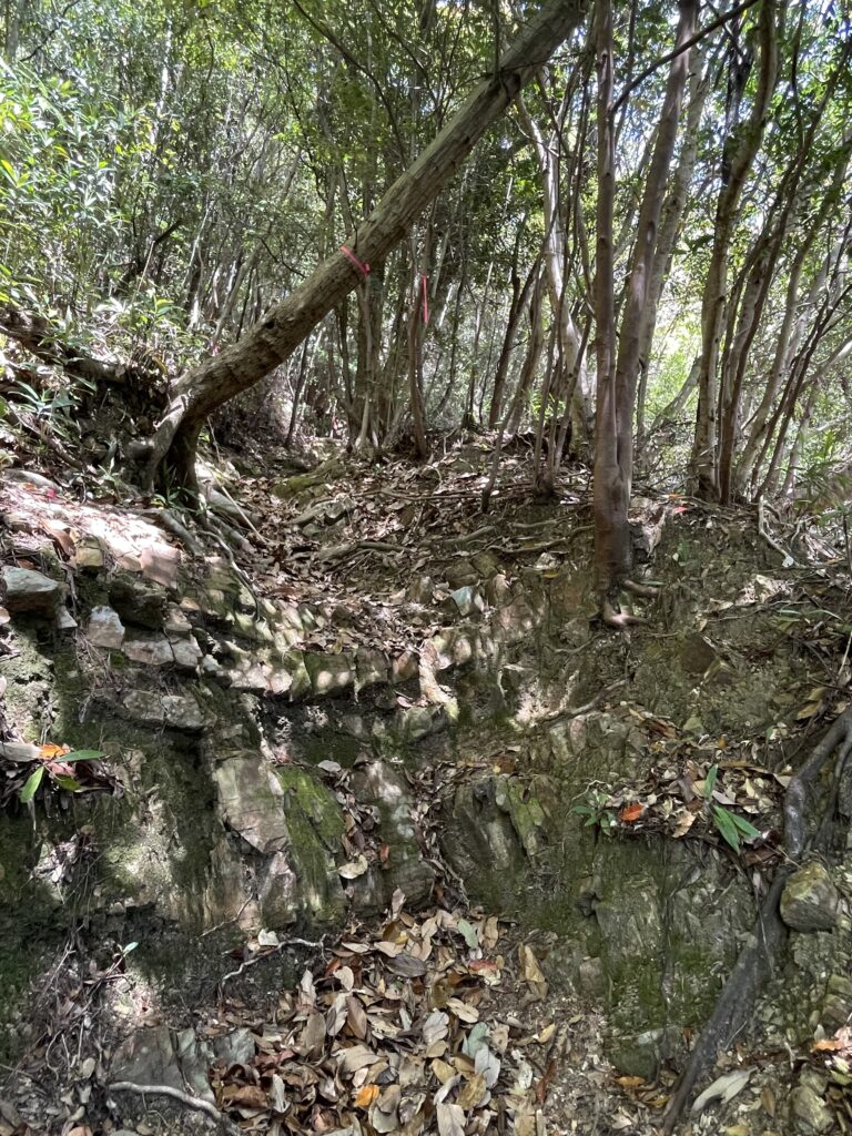 壁のような段差