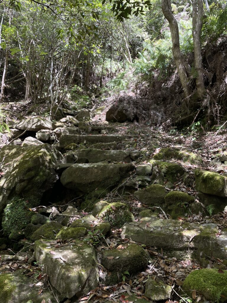 苔むした石階段