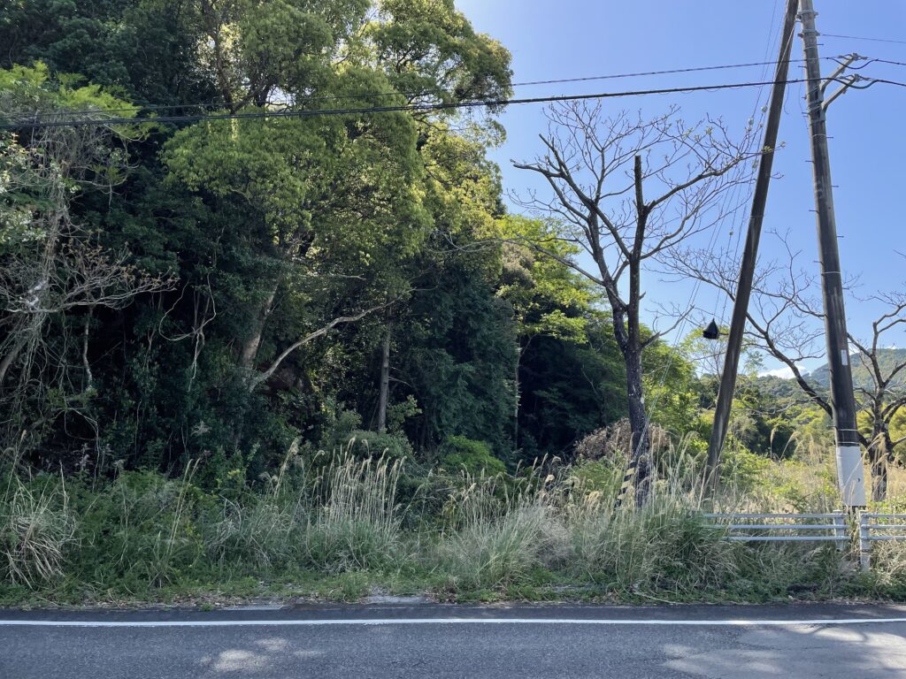 道なき道