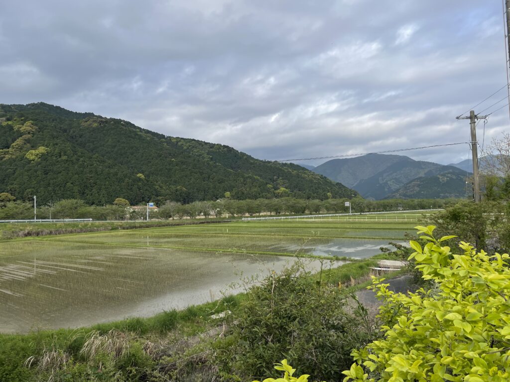 野根の田園風景