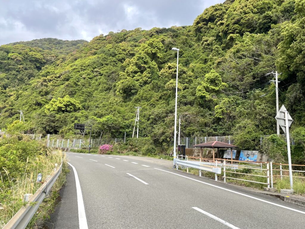 ゴロゴロ休憩所