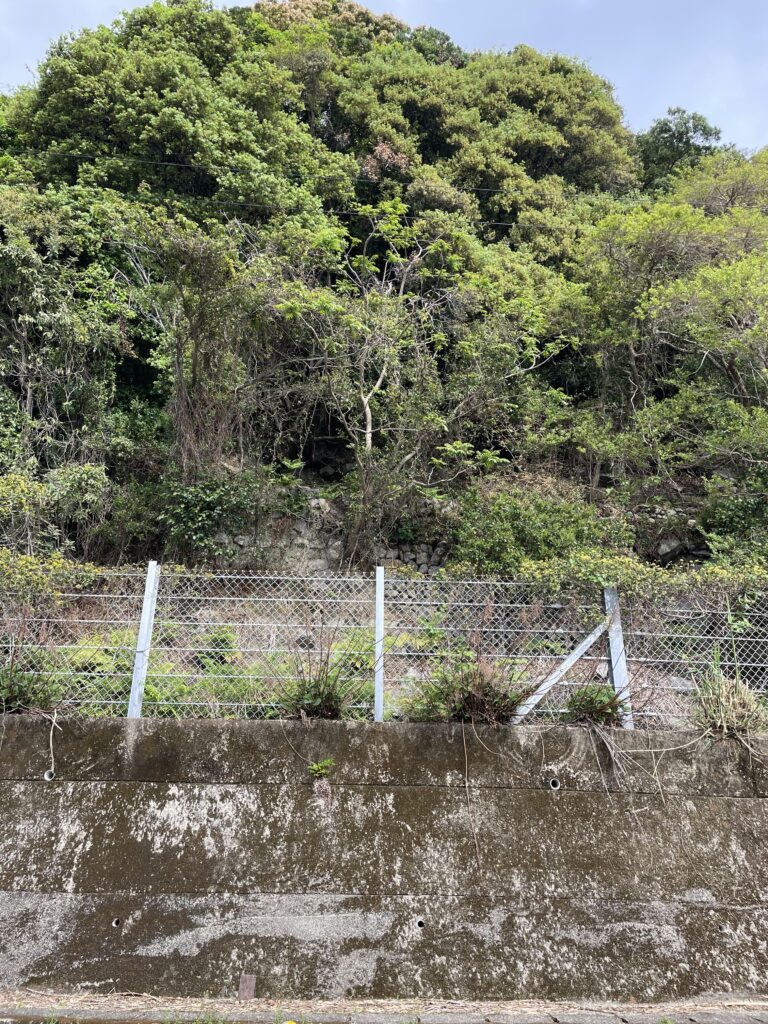 擁壁の上に古い石積みがある