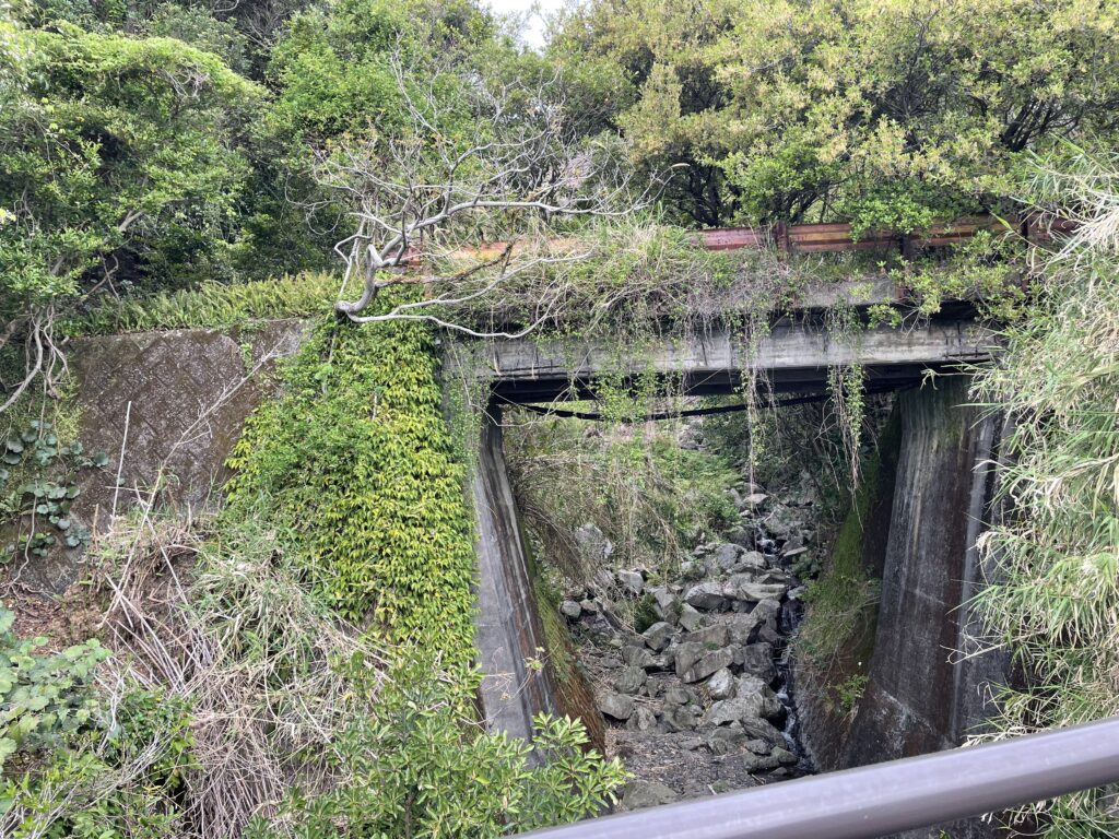 朽ちゆく旧道の橋脚
