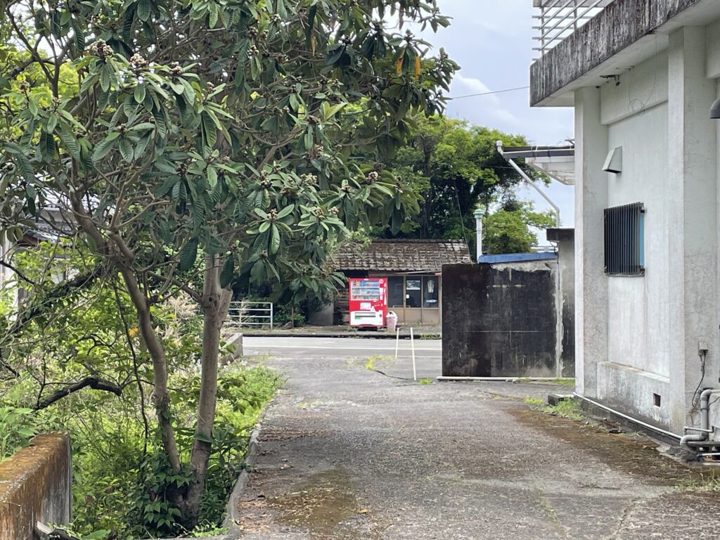 自販機を発見