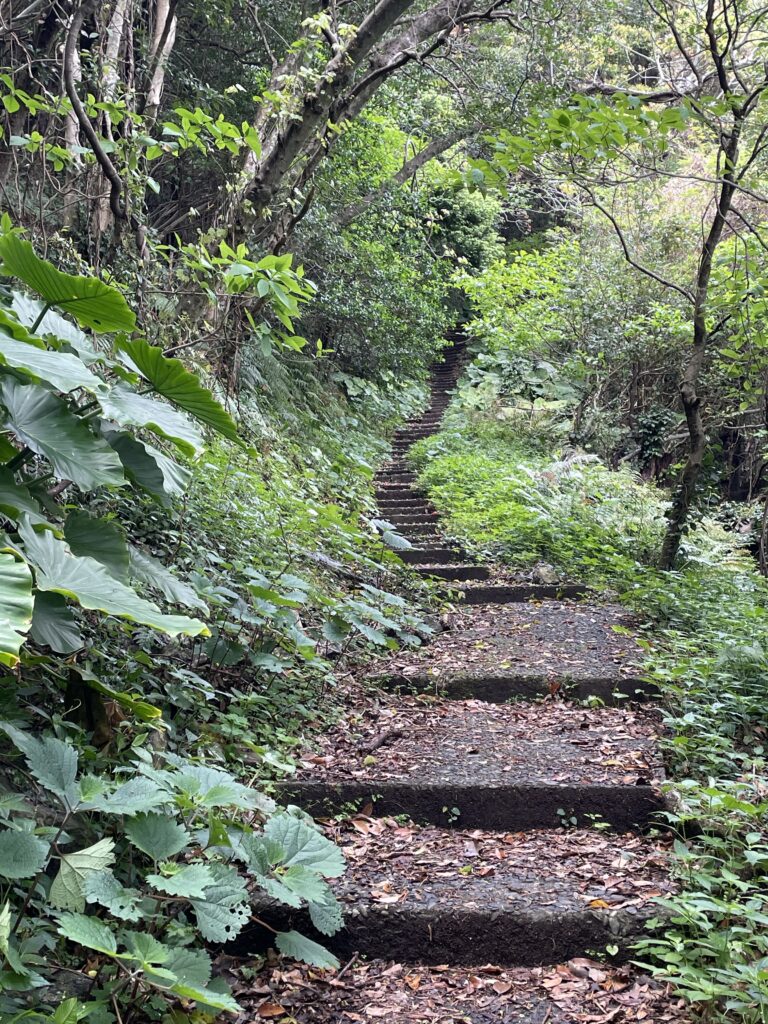 奥まで続く階段