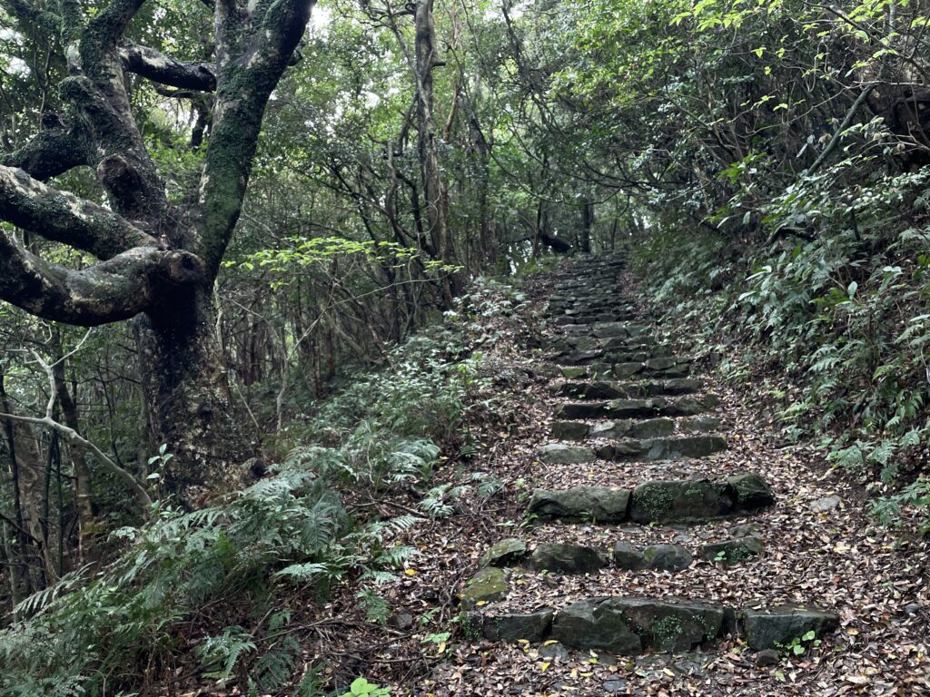 緑深い山道と石階段