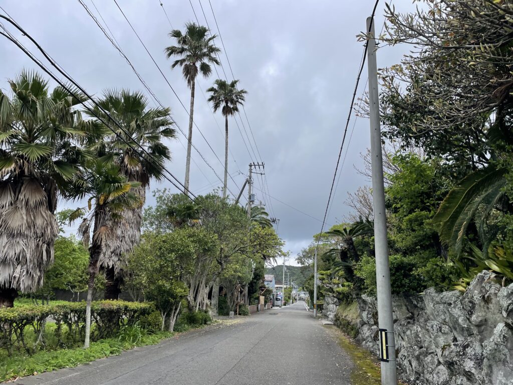 南国情緒溢れる街道