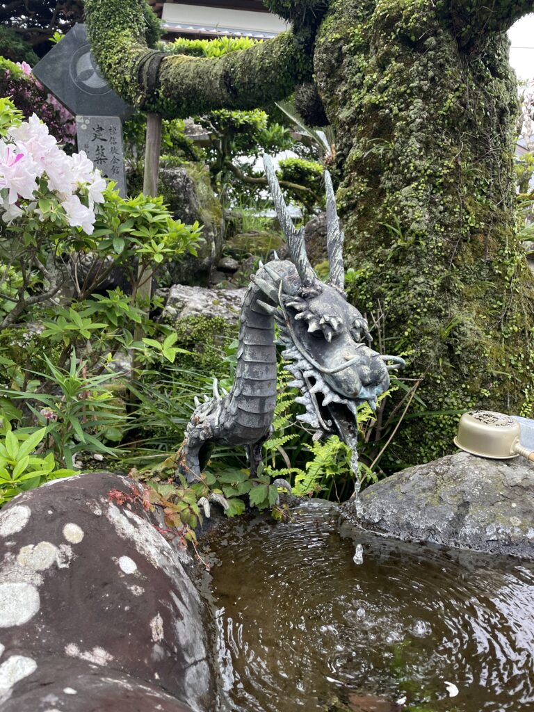 お手水の龍