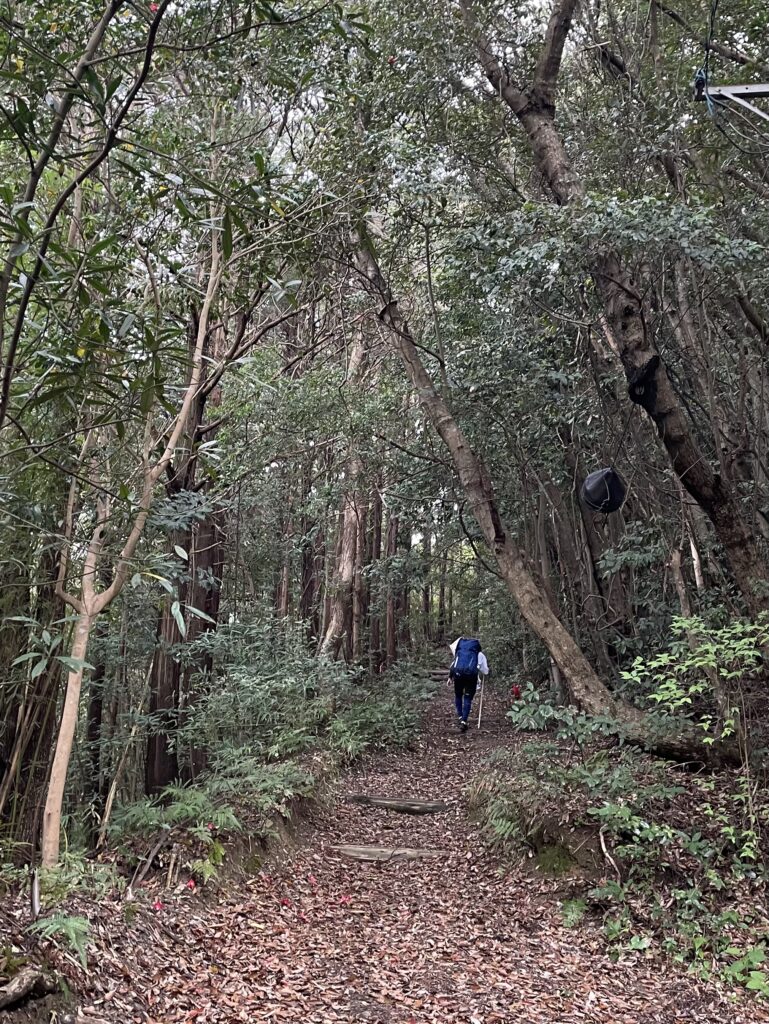 青年はすぐ見えなくなった
