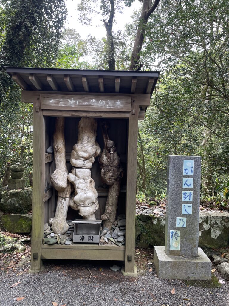 がん封じの椿