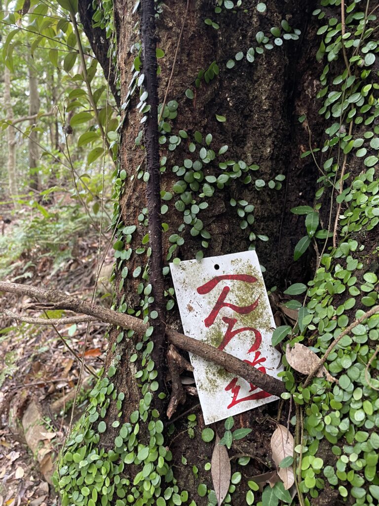 へんろ札