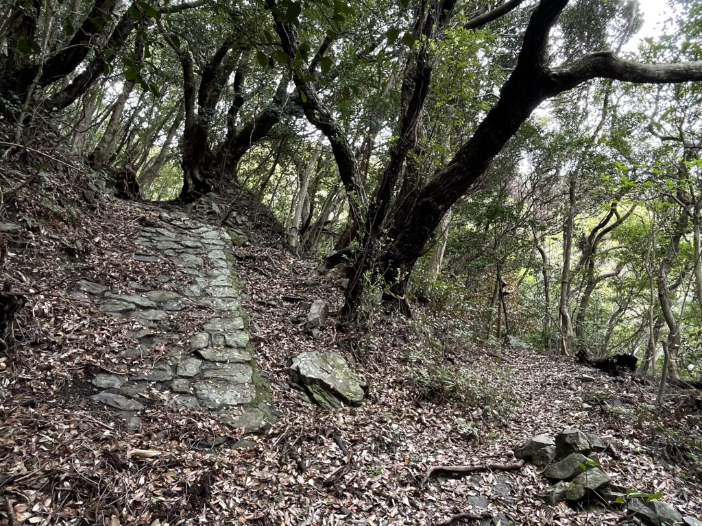 滑りそうな石畳